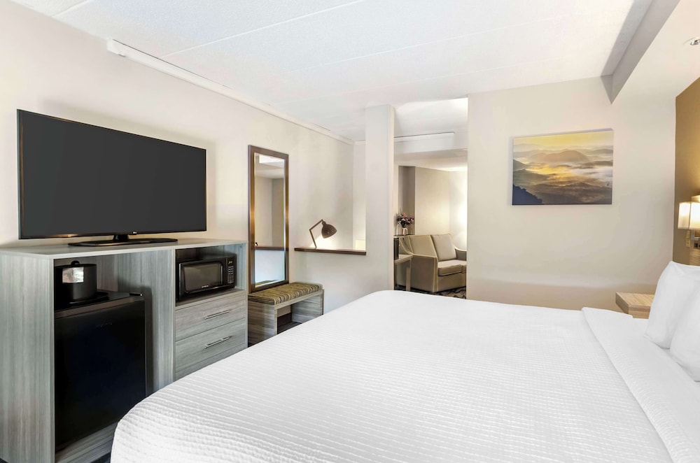 Suite, 1 King Bed, Accessible, Refrigerator & Microwave - Photo 3