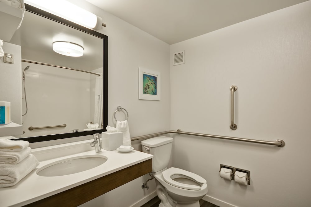 Room, 1 King Bed, Accessible, Non Smoking - Photo 3
