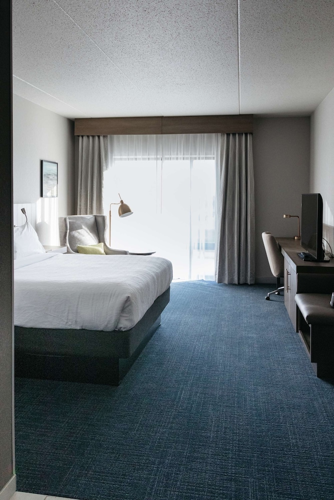 Room, 1 King Bed