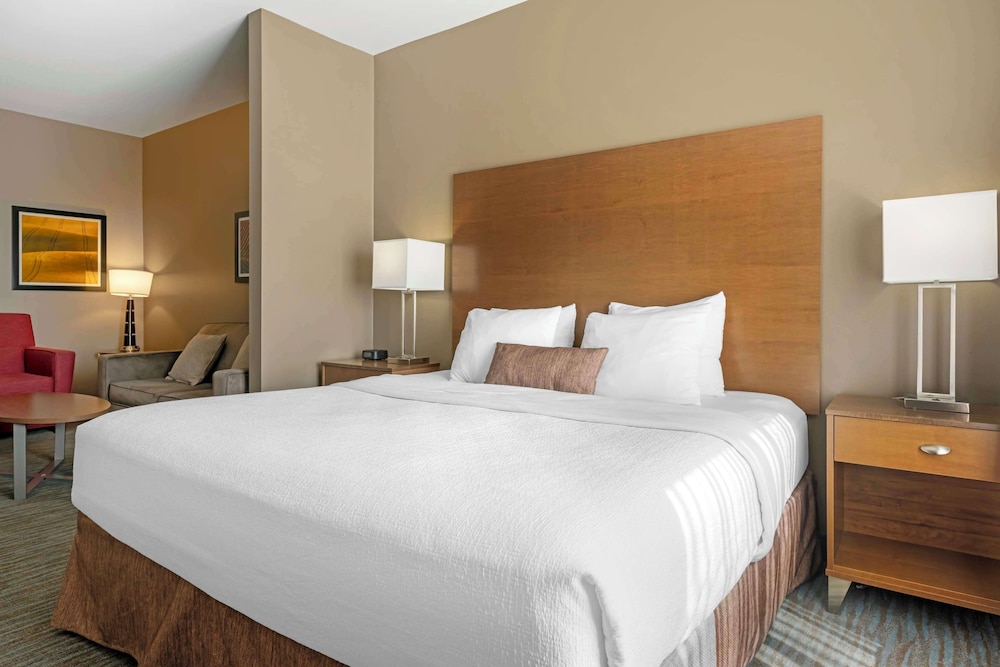 Suite, 1 King Bed, Non Smoking, Refrigerator & Microwave (with Sofabed) - Photo 2