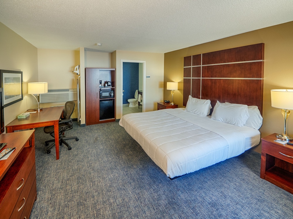 Premier Room, 1 King Bed photo 2