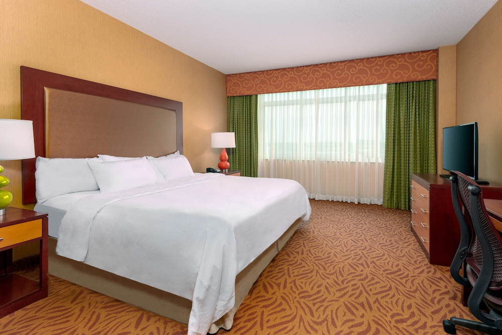 Room, 1 King Bed, Non Smoking photo 3