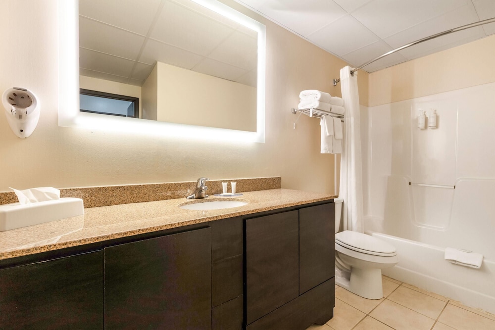 Studio Suite, Multiple Beds, Non Smoking - Photo 4