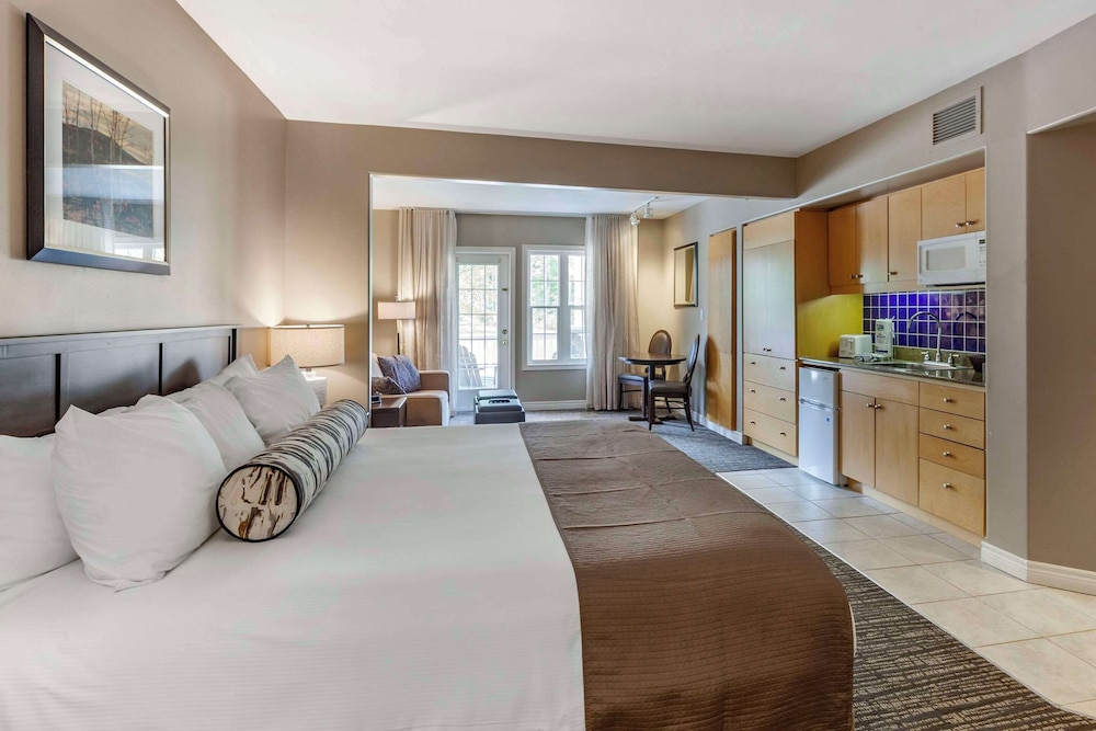 Suite, Non Smoking (2 King Beds, Efficiency, Upgrade) - Photo 3