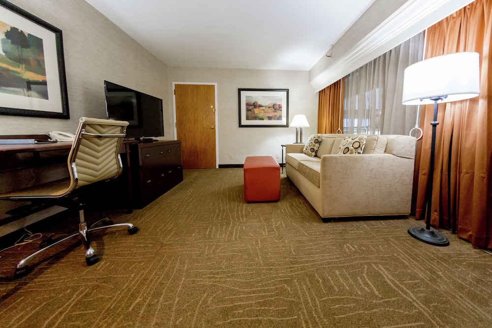 Suite, 1 King Bed, Accessible (Mobility) photo 3