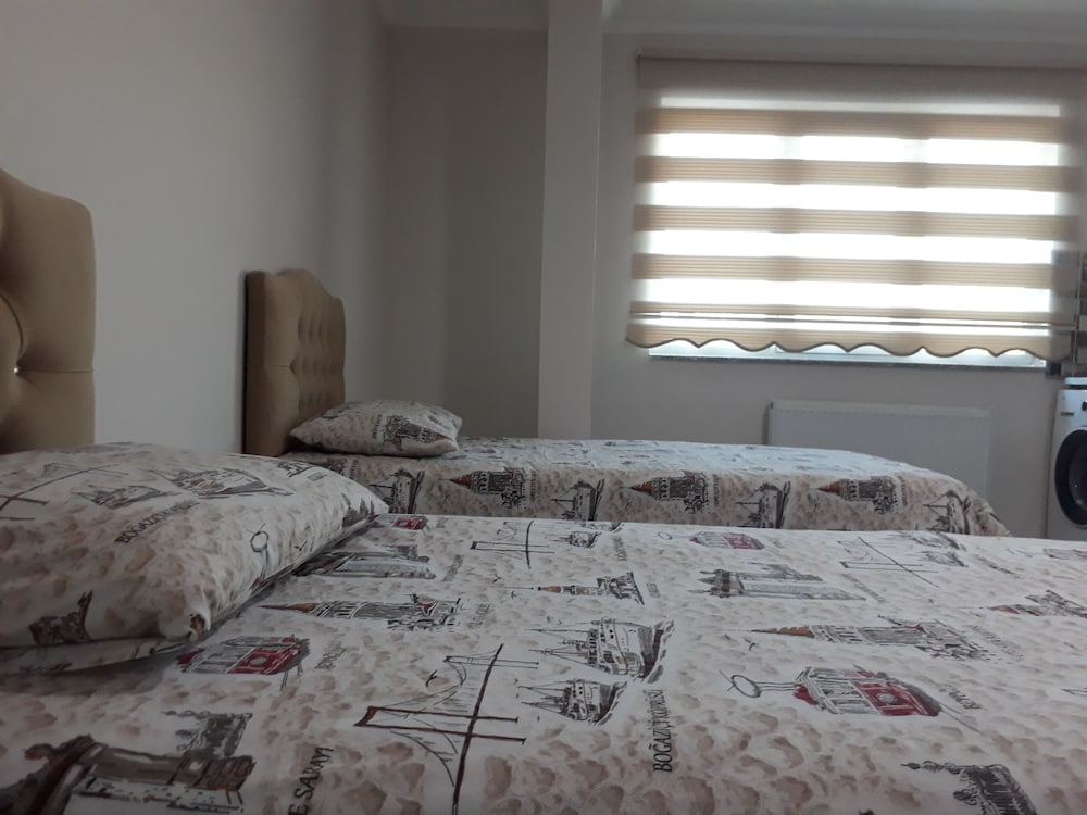 Twin Room photo 2