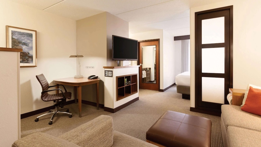 Room, 1 King Bed with Sofa bed, Accessible (Mobility Tub) - Photo 3