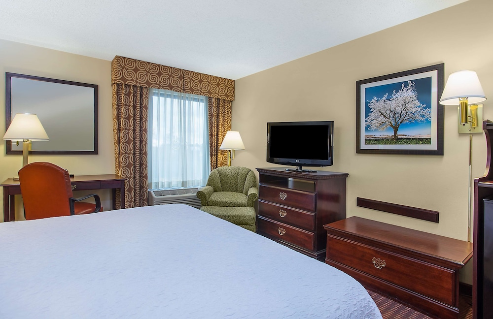 Room, 1 King Bed, Accessible, Non Smoking - Photo 3