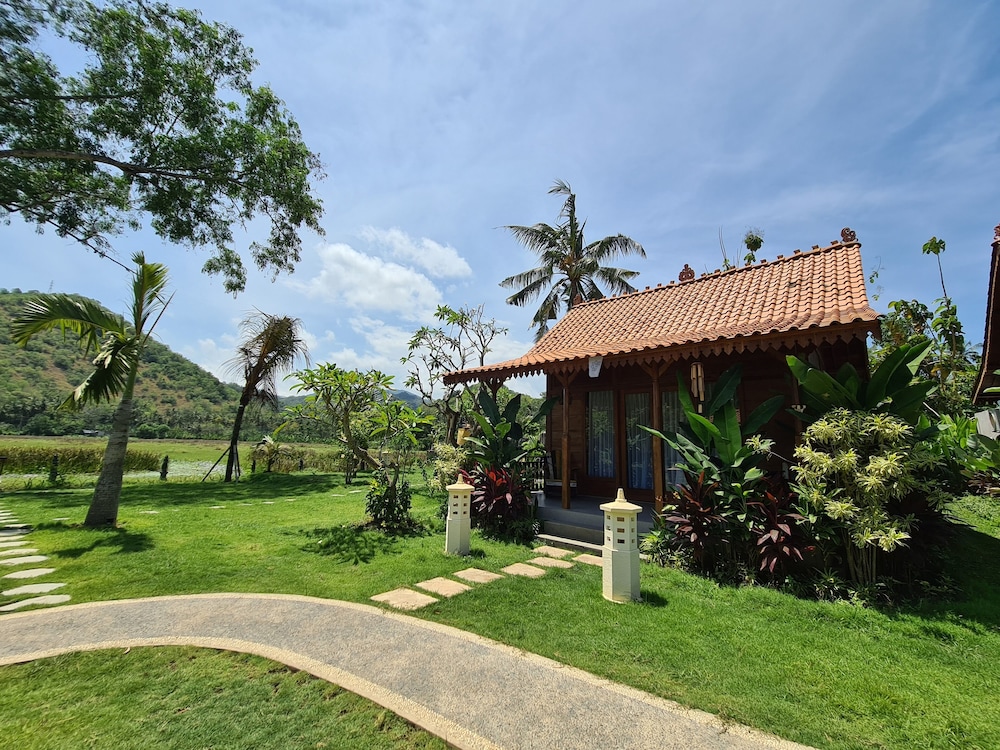 Deluxe Double Room, Patio, Pool View