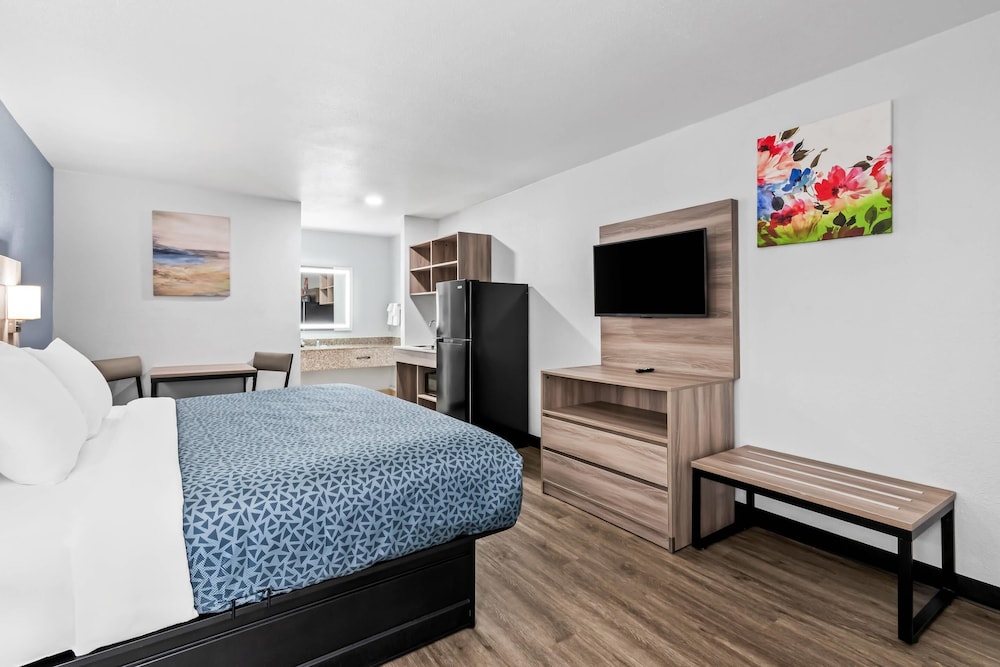 Standard Single Room, 1 King Bed, Non Smoking (Efficiency) photo 1