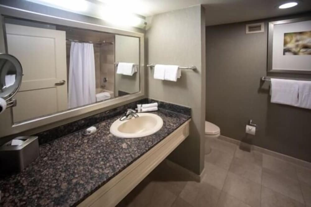 Deluxe Room, 1 King Bed, Non Smoking (Stay Well) - Photo 5