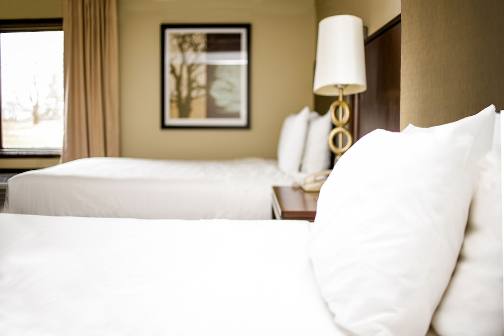 Deluxe Room, 2 Queen Beds photo 2