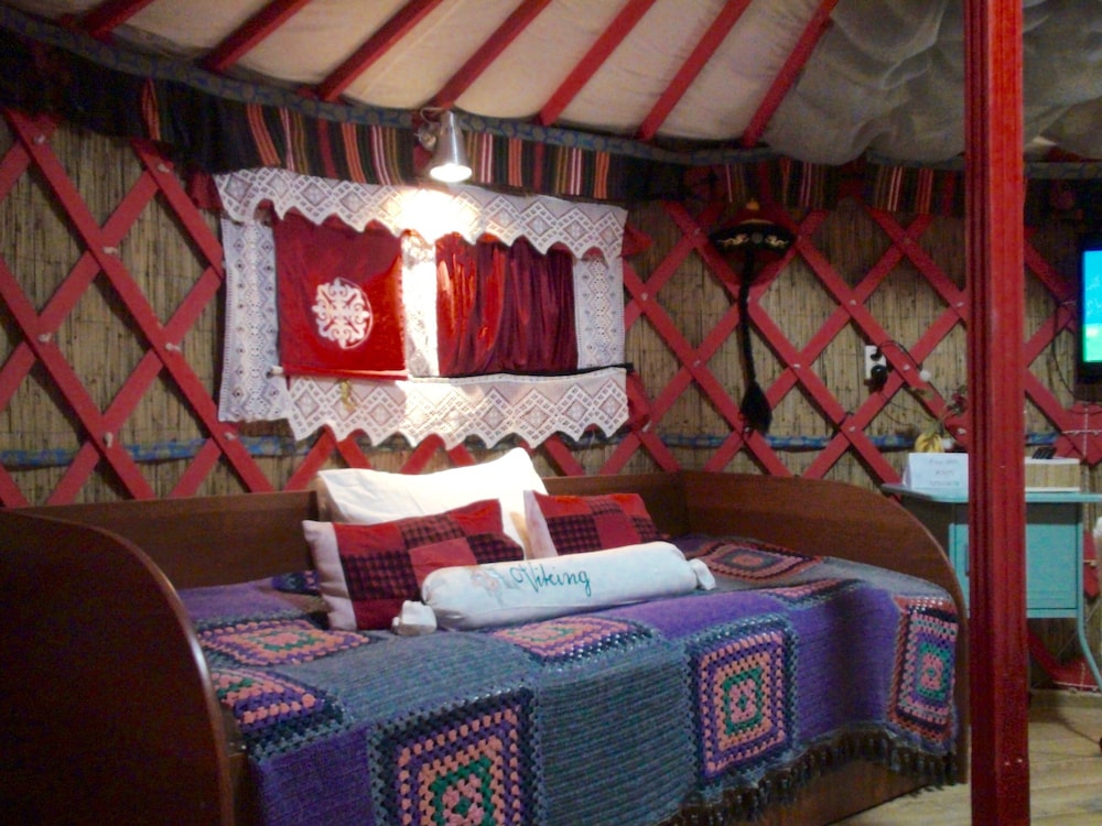 Standard Twin Room photo 1