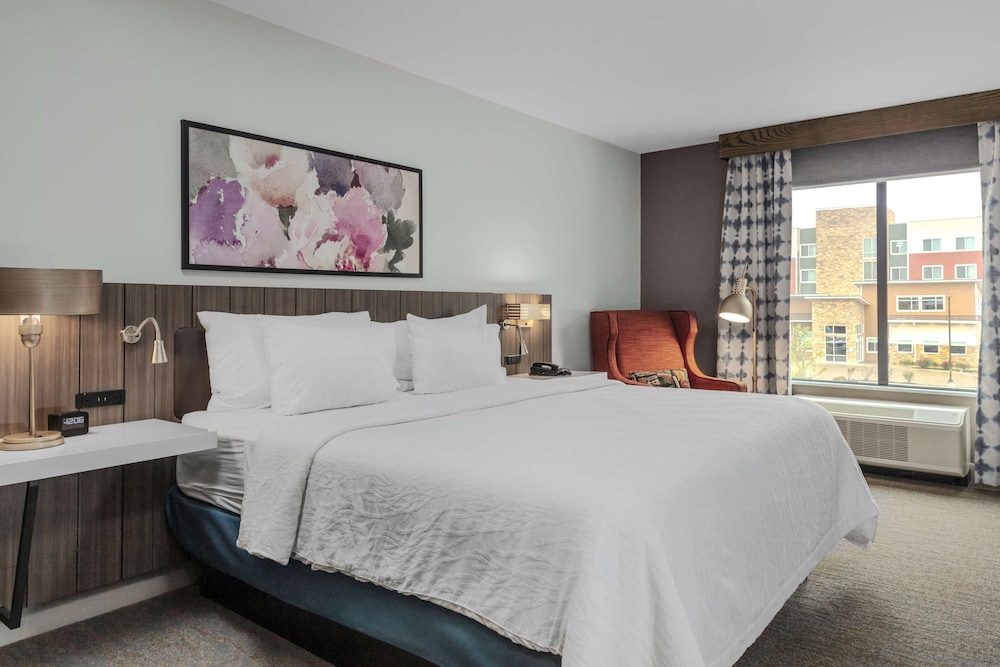 Room, 1 King Bed, Accessible (3x3 Shower) - Photo 1