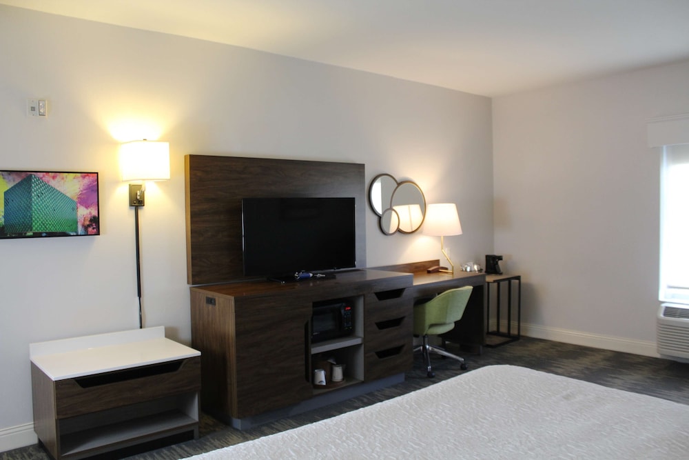 Suite, 1 King Bed, Accessible, Non Smoking - Photo 4