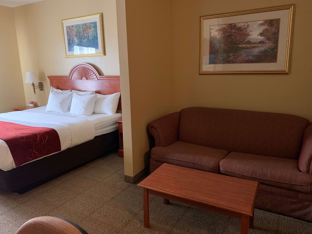Suite, 1 King Bed, Non Smoking, Refrigerator & Microwave (with Sofabed) - Photo 1