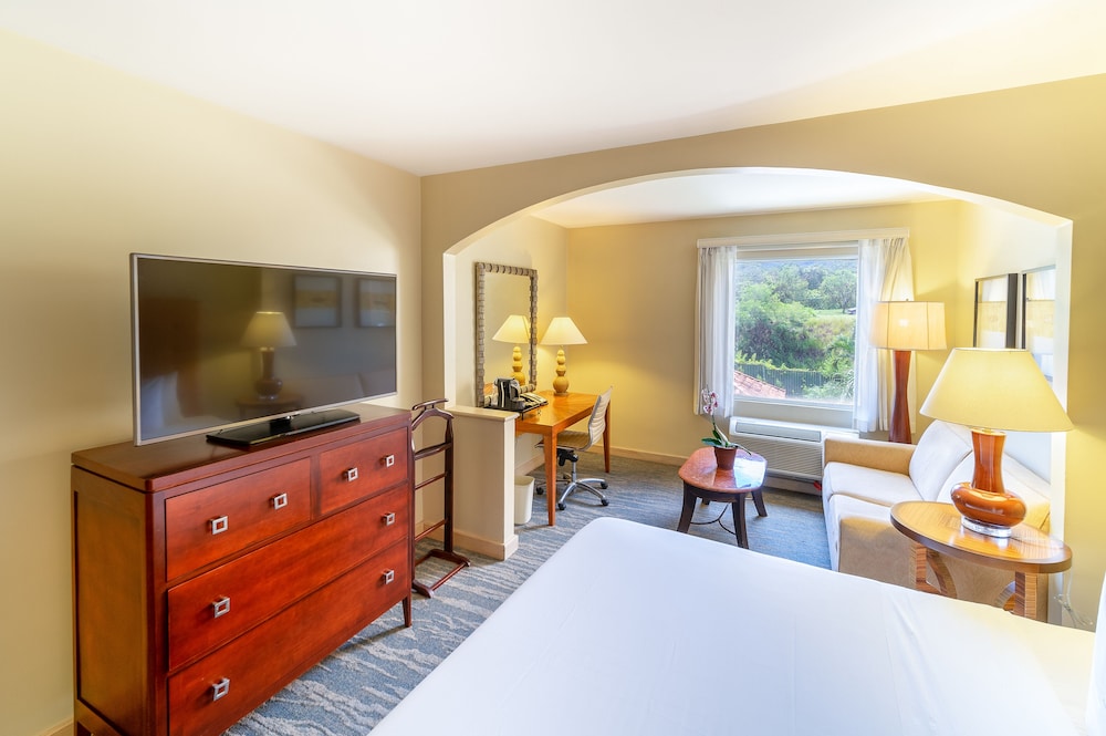 Suite, 1 King Bed