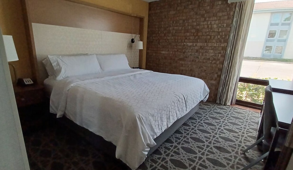 Suite, 1 King Bed - Photo 1