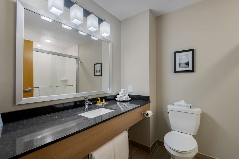 Standard Room, 1 King Bed, Non Smoking, Refrigerator & Microwave (Shower Only) - Photo 4