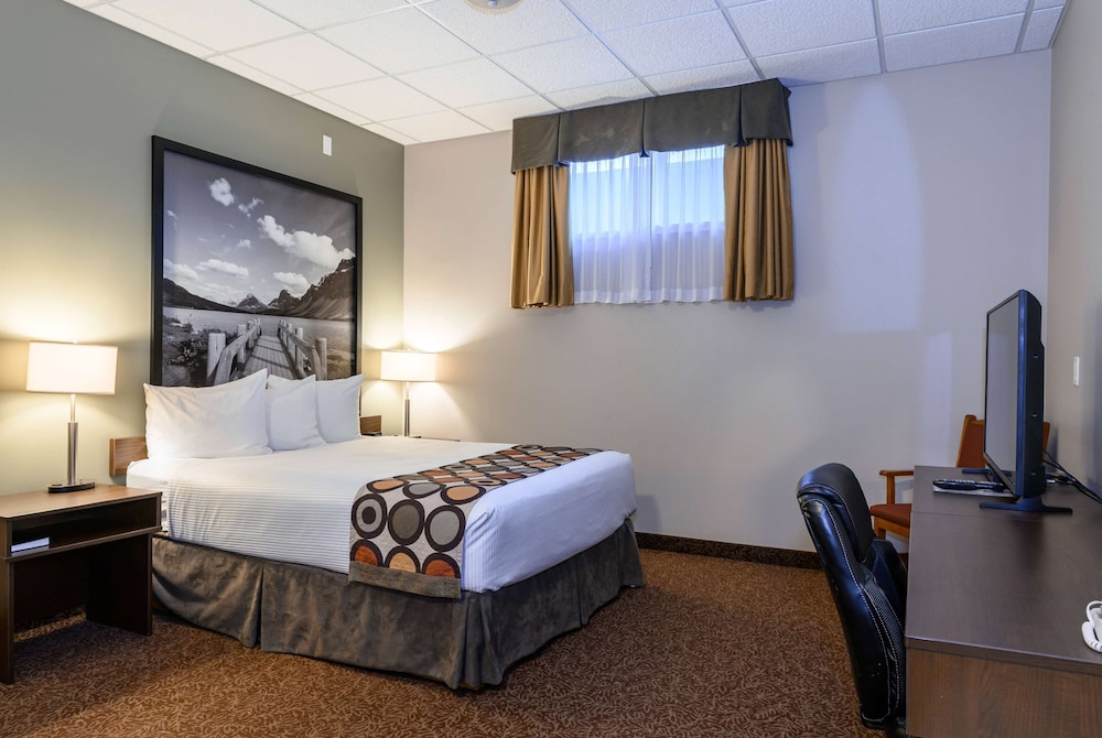 Suite, 1 Queen Bed, Non Smoking (One-Bedroom, Basement)