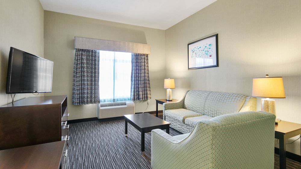 Suite, 1 King Bed, Accessible, Kitchen (With Sofabed)