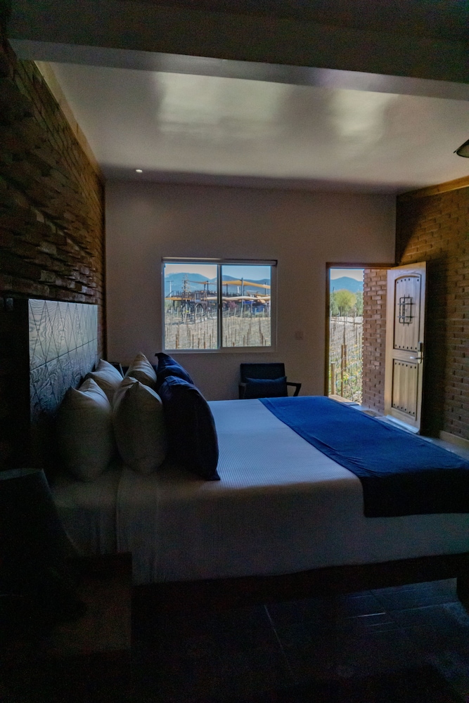 Deluxe Single Room, 1 King Bed, Vineyard View photo 2