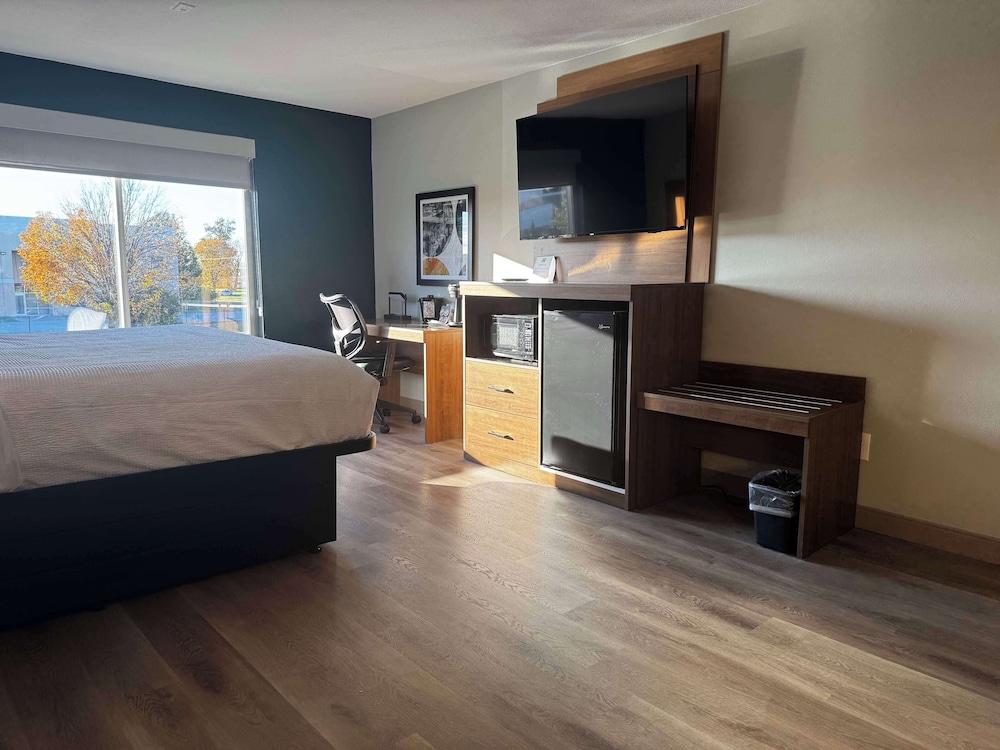 Suite, 1 King Bed, Non Smoking, Refrigerator & Microwave photo 1