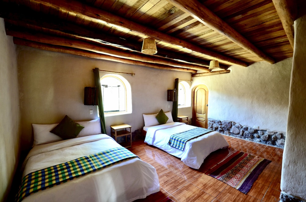 Standard Double Room, 2 Double Beds photo 1