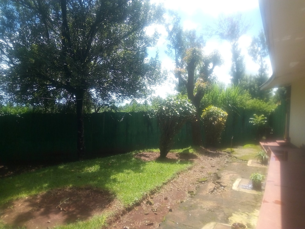 Single Room, Garden View photo 3