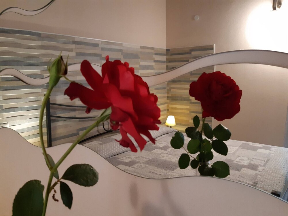 Alghero Rural Relax Privé Confort Exclusif Villa Laurus, Photo 4