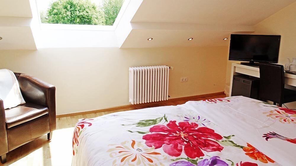 Double Room, 1 Double Bed (2.1) photo 2