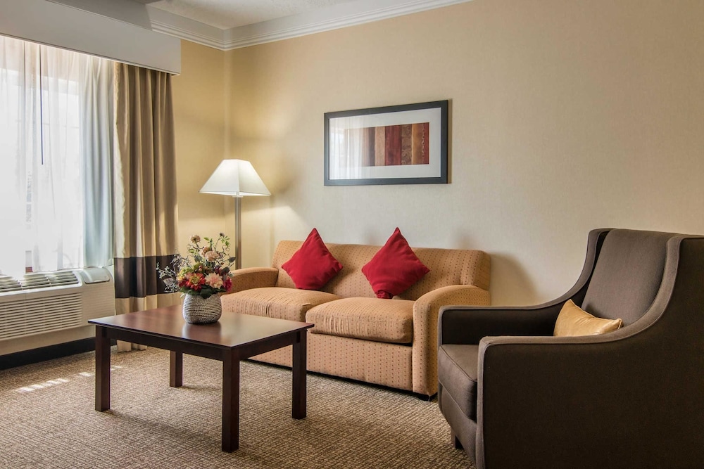 Suite, 1 King Bed with Sofa bed, Accessible, Non Smoking - Photo 5