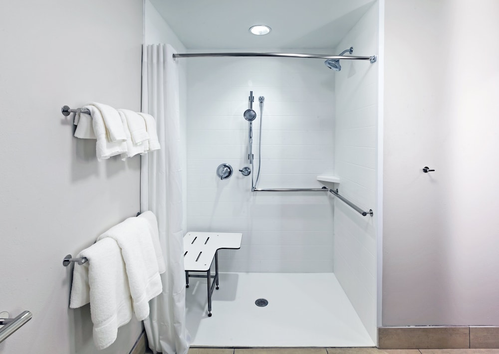 Standard Room, 1 King Bed, Accessible (Roll-In Shower)