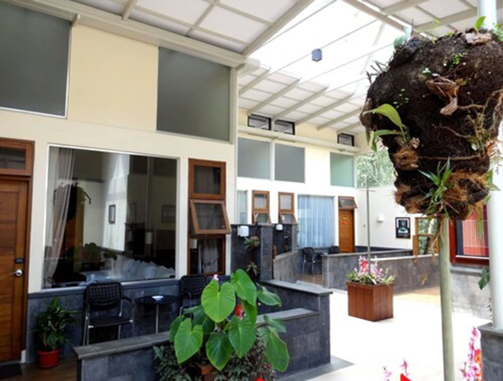 Waterfall Lodge Hotel - Superior photo 3