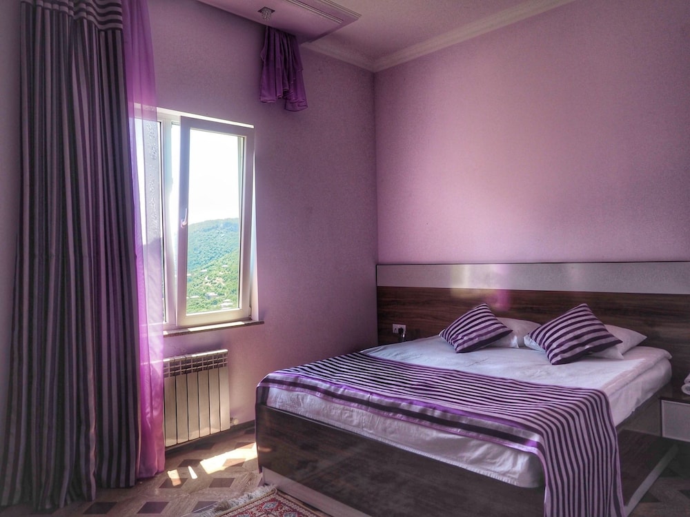 Standard Double Room, Mountain View