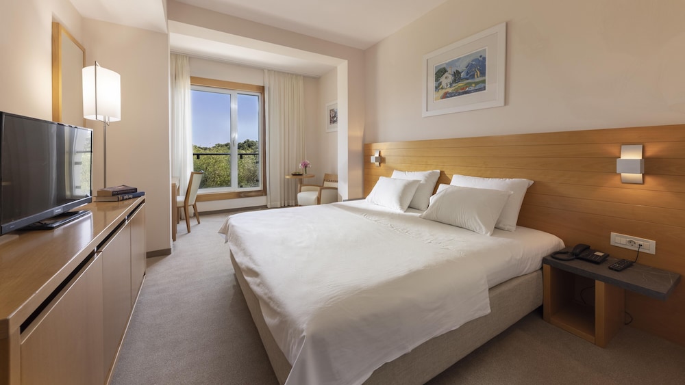 Standard Double Room, Park View photo 1
