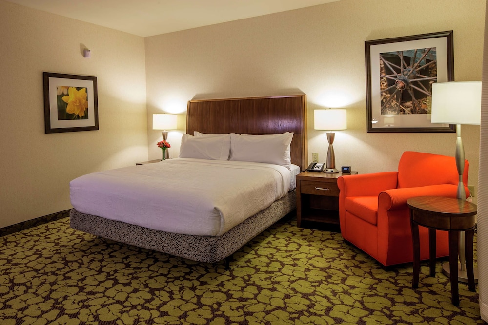Room, 1 King Bed, Accessible, Non Smoking (3x3 Shower)