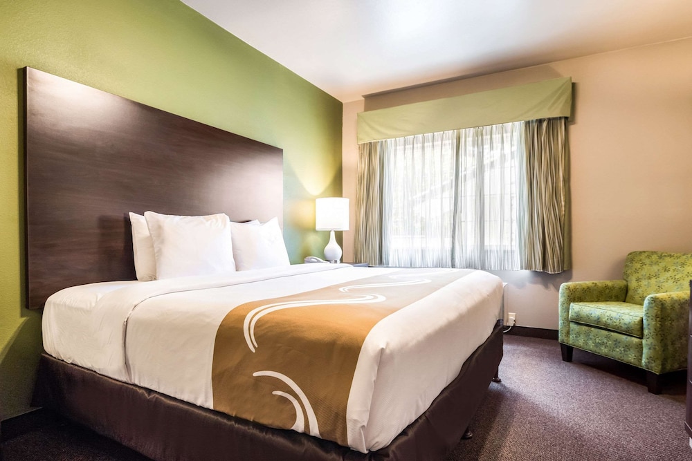Standard Room, 1 King Bed, Non Smoking, Microwave - Photo 1