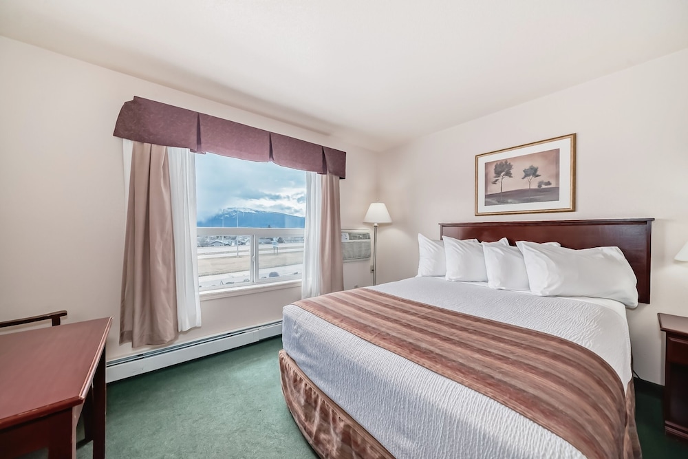 Room, 1 Queen Bed
