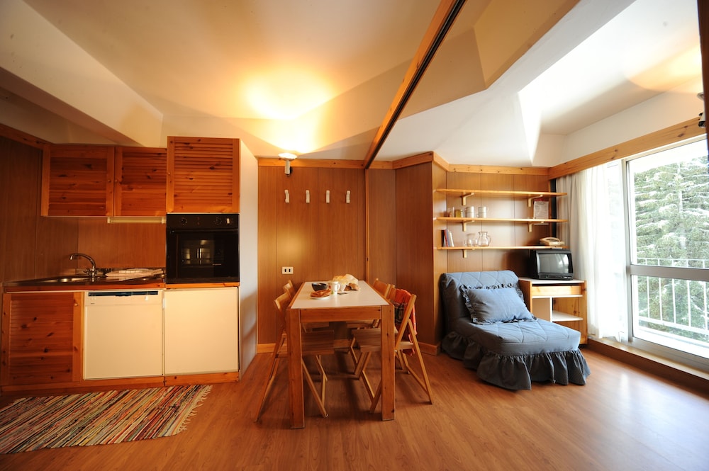 Apartment, 1 Bedroom, Mountain View (5 people) photo 1