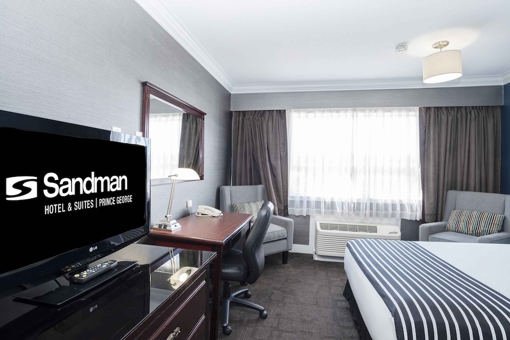 Studio Suite, 2 Double Beds, Kitchen photo 3