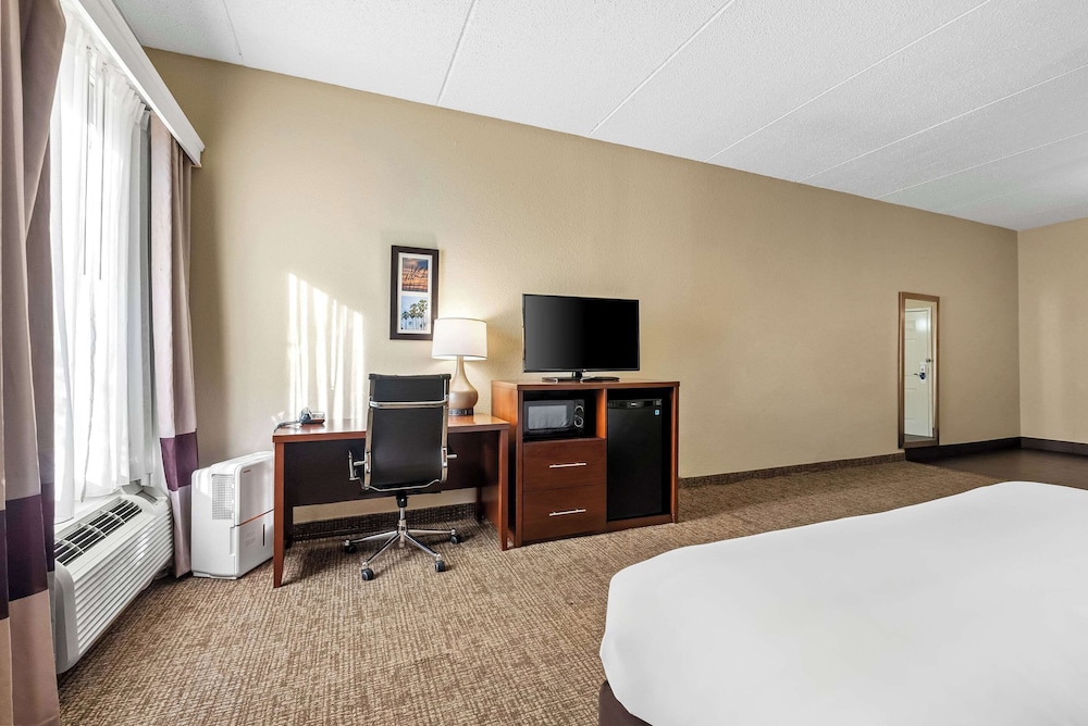 Room, 1 King Bed, Accessible, Non Smoking - Photo 4