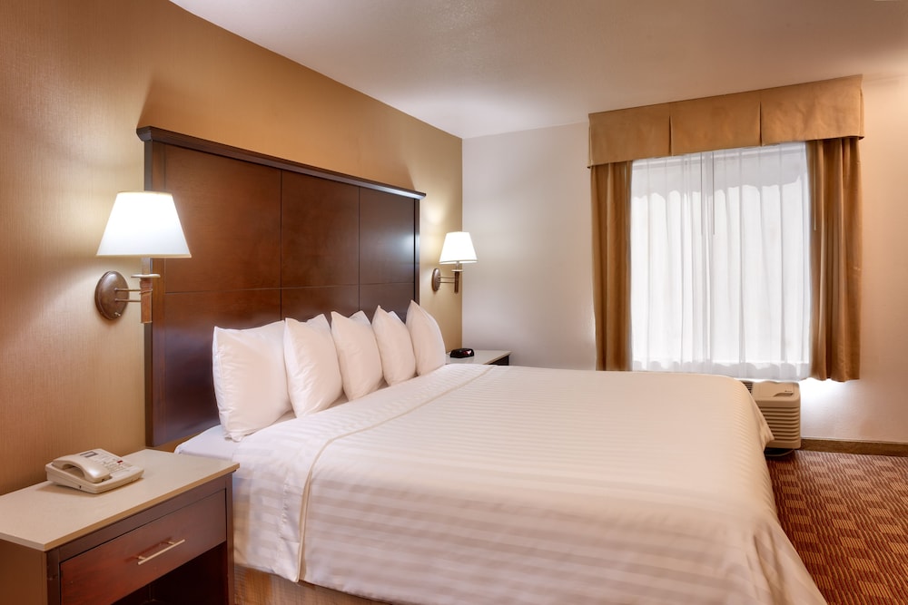 Suite, 1 Bedroom - Photo 4
