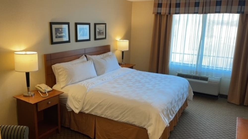 Standard Room, 1 King Bed, Accessible Bathtub (Communications) - Photo 6