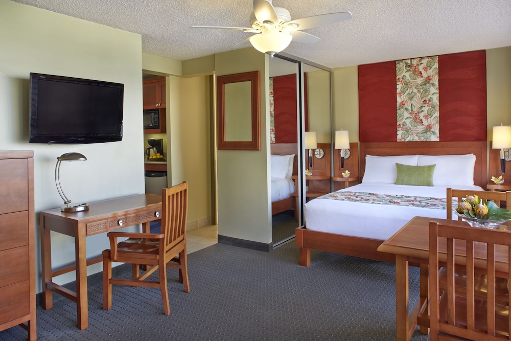 Studio Suite (1 Queen Bed)