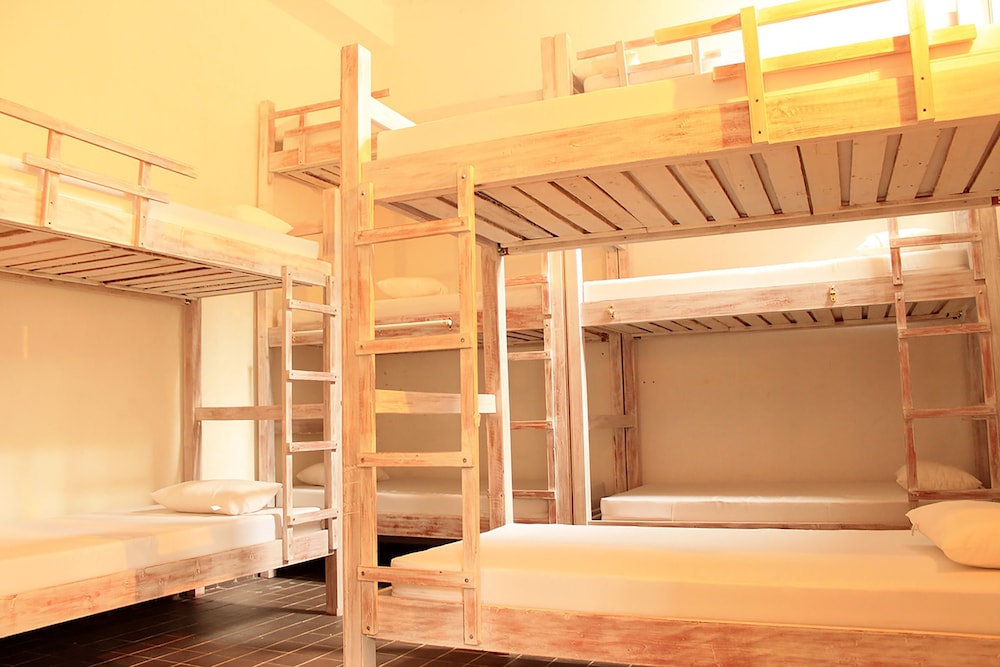Shared Dormitory, Shared Bathroom photo 1