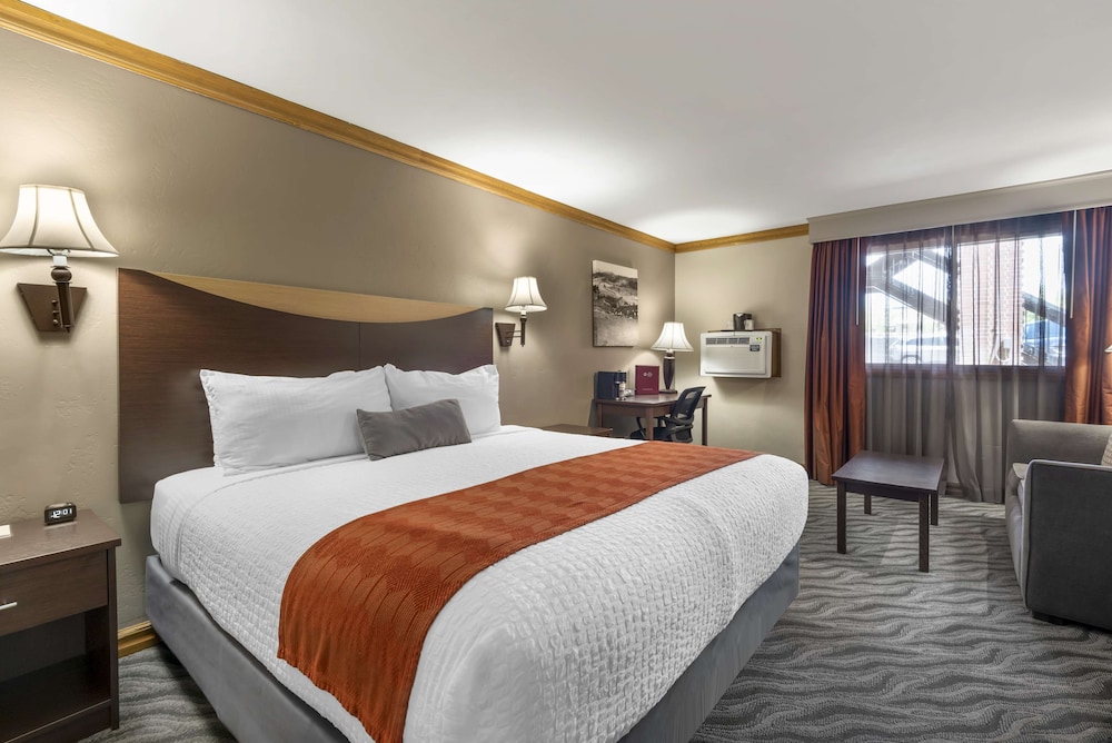 Standard Room, 1 King Bed, Non Smoking, Refrigerator & Microwave (Walk-in Shower;with Sofabed) - Photo 1
