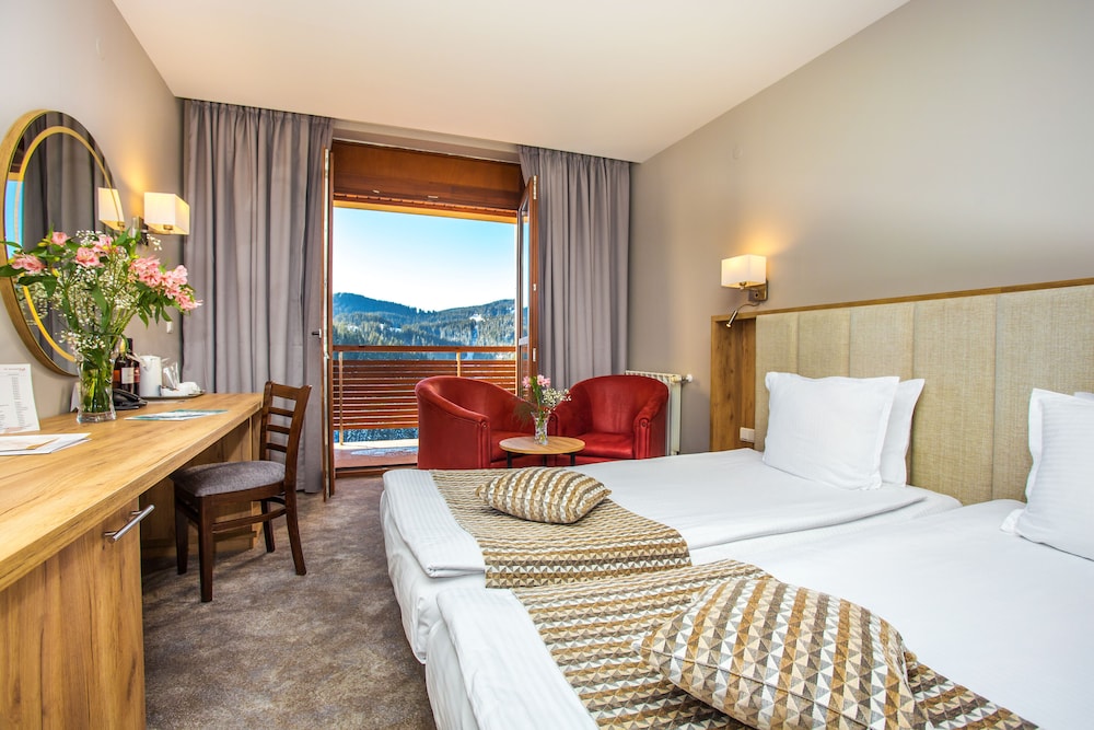 Double or Twin Room, Balcony, Mountain View