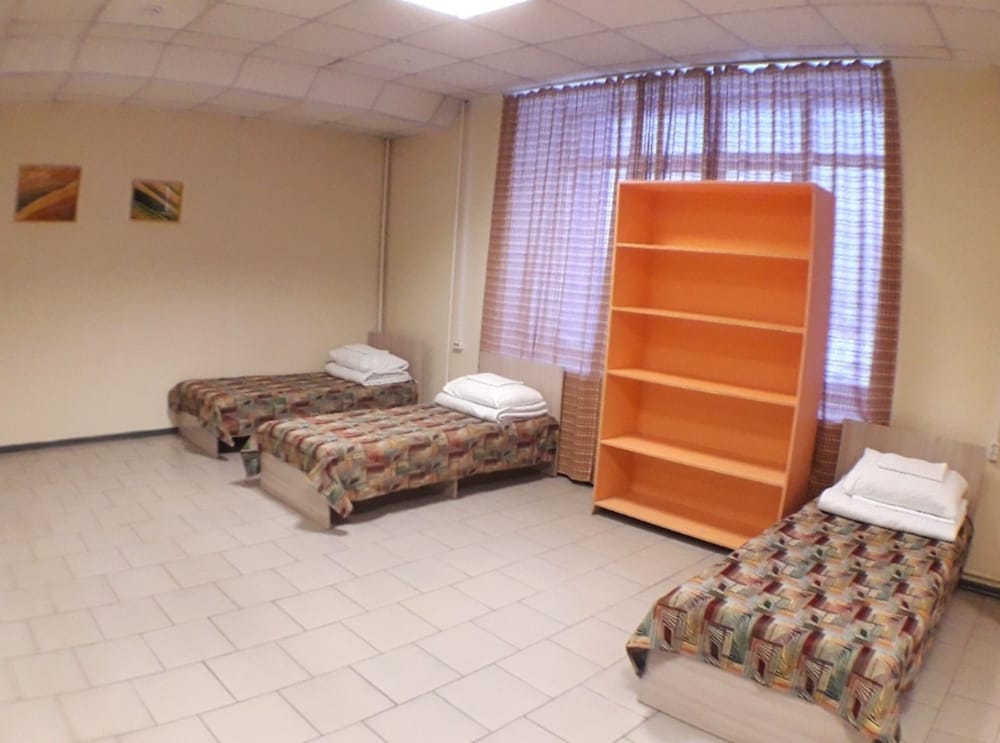 Economy Shared Dormitory, Mixed Dorm, Refrigerator & Microwave photo 3