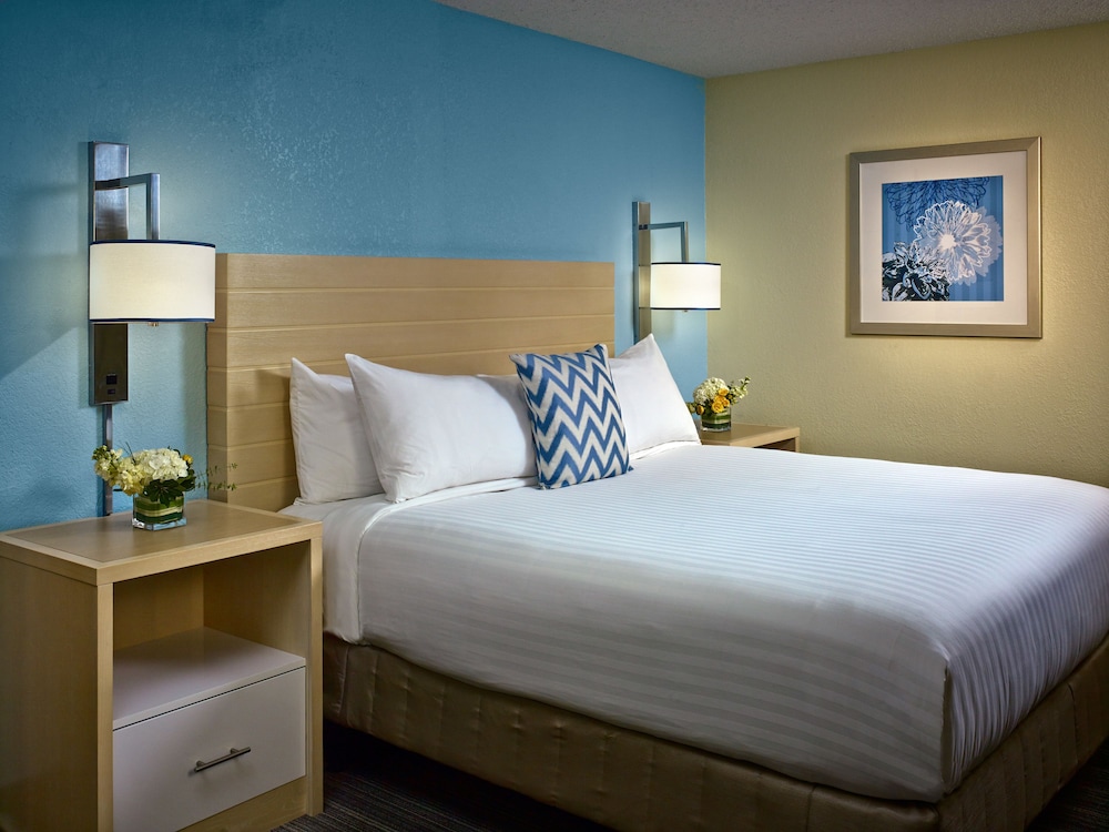 Suite, 1 King Bed (Roll-In Shower) - Photo 3